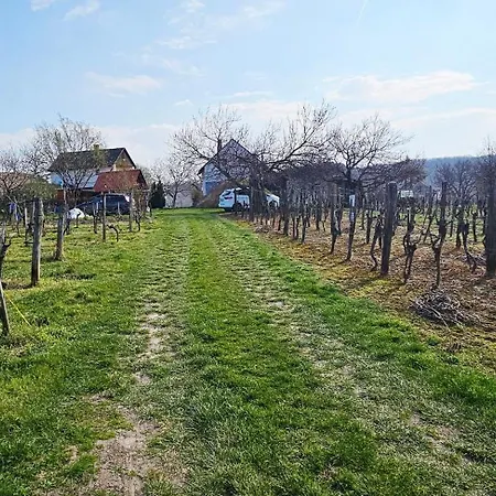 Πανσιόν Oscar Rezi