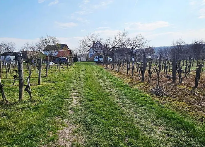 Πανσιόν Oscar Rezi